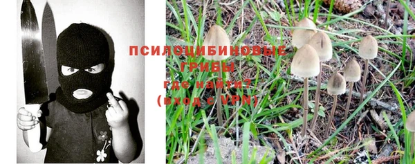 MDMA Белокуриха