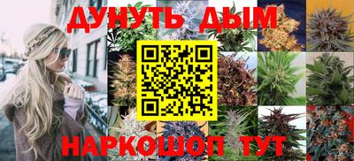 эйфоретик Жуковский
