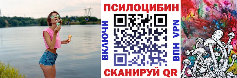 где купить наркоту  Саяногорск  omg ссылки  Псилоцибиновые грибы Psilocybe 