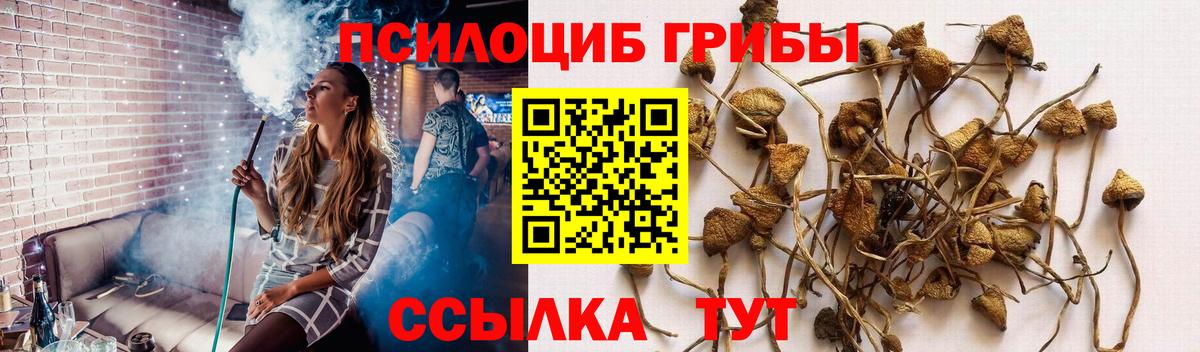 Галлюциногенные грибы GOLDEN TEACHER Саяногорск